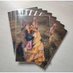 ACEO Druck "GSD and Saw-wort"