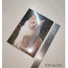 ACEO Druck "Kitty and Saw-wort"