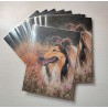 ACEO print "Rough Collie and Saw-wort"