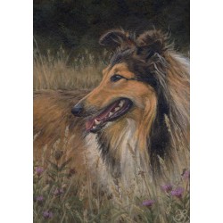 ACEO Druck "Rough Collie and Saw-wort"