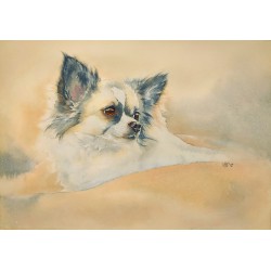 Aquarellportrait "Langhaar-Chihuahua"