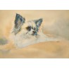 Watercolor portrait "Longhaired Chihuahua"