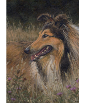 ACEO Druck "Rough Collie...