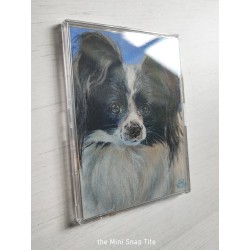 Original ACEO "Tricolor Merle Aussie"