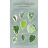 Stickerbogen - "Common Pothos Varieties"