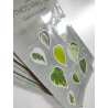 Sticker sheet - "Common Pothos Varieties"