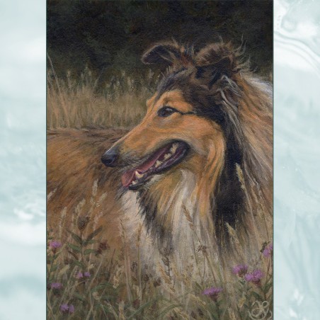 ACEO print "Rough Collie and Saw-wort"