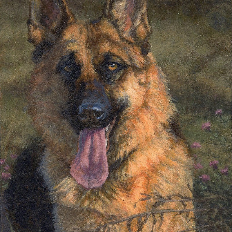 Original ACEO "GSD and saw-wort"