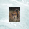 Original ACEO "Rough Collie and saw-wort"