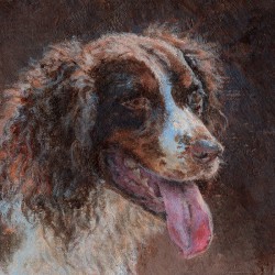 Original ACEO "Springer Spaniel"