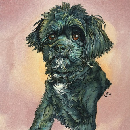 Aquarellportrait "Shih Tzu"