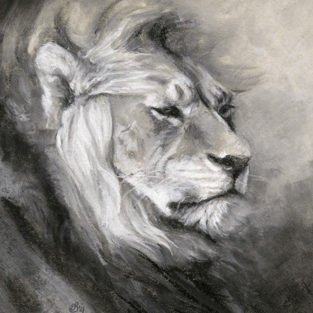 Charcoal drawing - Lion