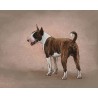 Digital pet portrait - Colored Sketch