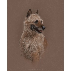 Digital pet portrait - Colored Sketch