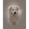 Digital pet portrait - Colored Sketch