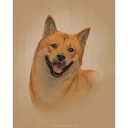 Digital pet portrait - Colored Sketch
