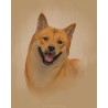 Digital pet portrait - Colored Sketch