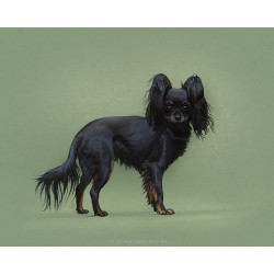 Digital pet portrait - Colored Sketch