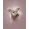 Digital pet portrait - Colored Sketch
