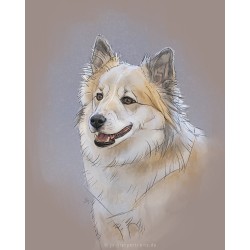 Digital pet portrait - Colored Sketch