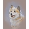 Digital pet portrait - Colored Sketch