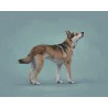 Digital pet portrait - Colored Sketch