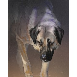 Digital pet portrait - Colored Sketch