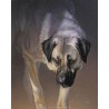 Digital pet portrait - Colored Sketch
