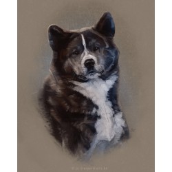 Digital pet portrait - Colored Sketch