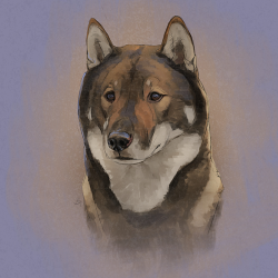 Digital pet portrait - Colored Sketch