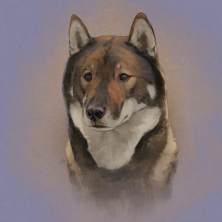 Digital pet portrait - Colored Sketch