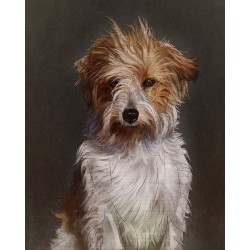 Digital pet portrait - Colored Sketch