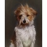 Digital pet portrait - Colored Sketch