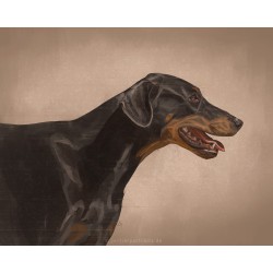 Digital pet portrait - Colored Sketch