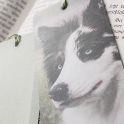 PREORDER Dog Breed Bookmarks: Eurasier, Groenendael, Yakutian Laika, Border Collie