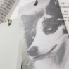 PREORDER Dog Breed Bookmarks: Eurasier, Groenendael, Yakutian Laika, Border Collie
