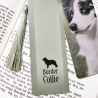PREORDER Dog Breed Bookmarks: Eurasier, Groenendael, Yakutian Laika, Border Collie