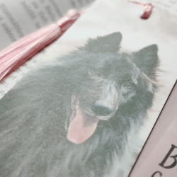 VORBESTELLUNG Hunderassen Lesezeichen: Eurasier, Groenendael, Yakutischer Laika, Border Collie