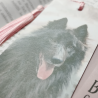PREORDER Dog Breed Bookmarks: Eurasier, Groenendael, Yakutian Laika, Border Collie