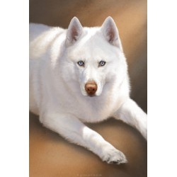 Digitales Tierportrait - Büste (detailliert)