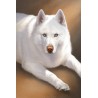 Digitales Tierportrait - Büste (detailliert)