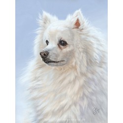 Digital pet portrait - Bust (detailed)