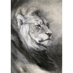 Charcoal drawing - Lion