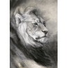 Charcoal drawing - Lion